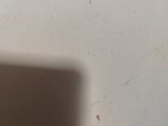 -老山村酒楼(白石洲店)