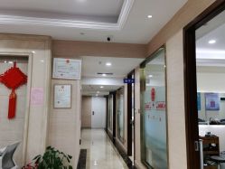 -碧莲盛·不剃发植发