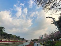 -深圳湾公园(南山区)