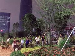 景点-深圳人才公园