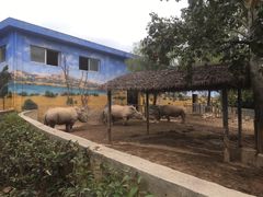 -西安秦岭野生动物园