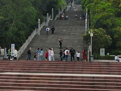 -铁山坪森林公园