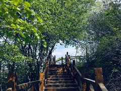 -大岭沟猕猴桃谷风景区