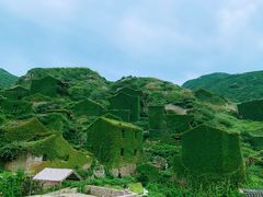 -枸杞岛