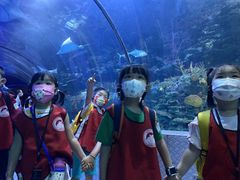 -蕃茄田艺术(普陀长风大悦城中心)