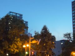 -大通公园
