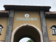 -黄贤森林公园