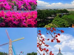 -广州莲花山旅游区