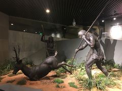 -北京周口店北京人遗址博物馆