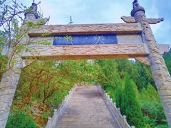 -原山国家森林公园