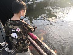 -西湖外事游船(花港观鱼码头)