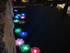-惠和石文化园
