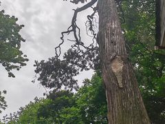 -终南山南五台景区