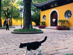 -西园戒幢律寺