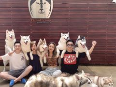 -TrueLove @ Neverland (Husky Cafe)