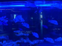 -上和臻品中国菜(花园街店)