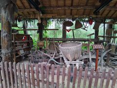 -合肥滨湖国家森林公园