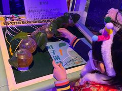 -中国宋庆龄青少年科技文化交流中心