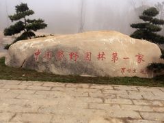-习家池