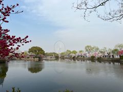 -无锡蠡湖国家湿地公园-蠡园