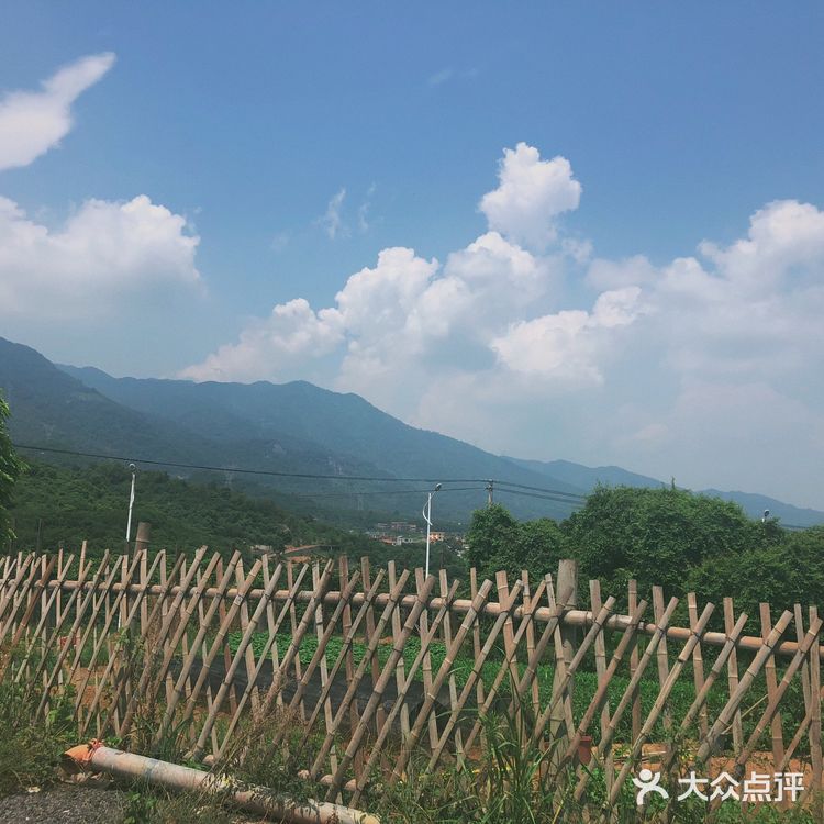 藏在山里的奇妙农庄