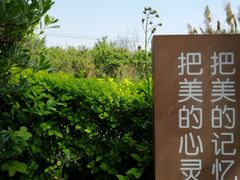 -白鹭湾湿地公园