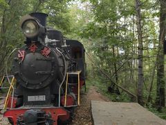 -五营红松林海景区