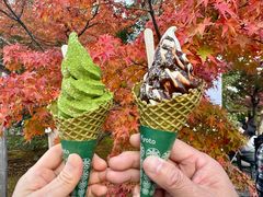 -豆政(金閣寺境内売店)