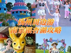 -南京银杏湖乐园