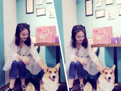 -派多格宠物·购宠(靛厂路店)