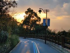 -杭州半山国家森林公园