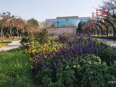 -映月湖公园