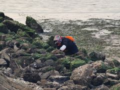 -青岛第二海水浴场