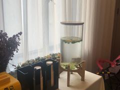 -浮游·云巅派对西餐厅(鼓岭旅游度假区店)