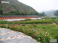 -紫海香堤香草艺术庄园