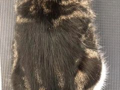 -comecome来吧宠物(奥克斯中心店)