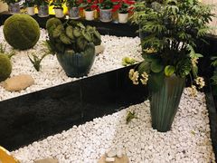 景观位-顺风海鲜港(金玉兰店)