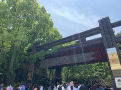 -天目湖山水园
