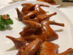 润烧bb乳鸽-利苑酒家(宜安广场店)