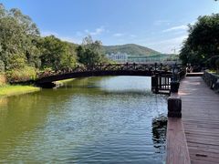 -三亚亚龙湾金棕榈度假酒店