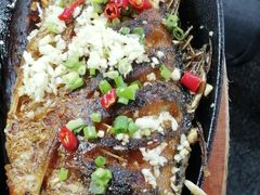 -老黑板筋(顺义总店)