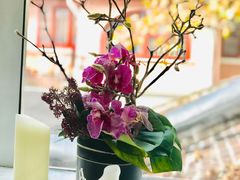 -蝶舍·MAISON PAPILLON