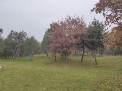 -森林公园(尖草坪区)