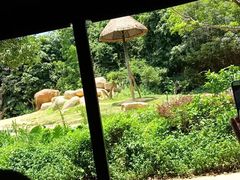 -彩蝶谷美食廊·粤式经典南番顺·铁板烧烤泰风味(广州长隆酒店)
