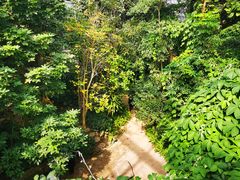 -南山植物园