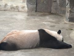 -栾川竹海野生动物园