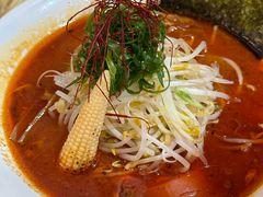 -真打拉面·日式拉面新流派(体育西横街店)