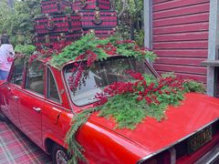-The Grounds of Alexandria