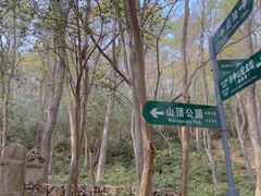 -紫金山山顶公园