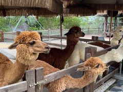 -珠海海泉湾神秘岛亲子乐园